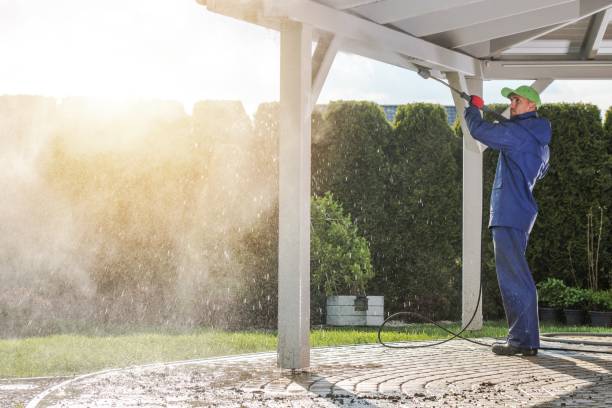 Best Pre-Holiday Cleaning  in Halfway House, PA